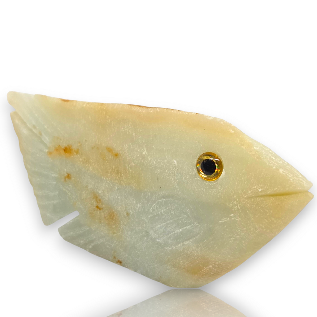Curio Cabinet Amazonite Gemstone Fish Stone Collectible