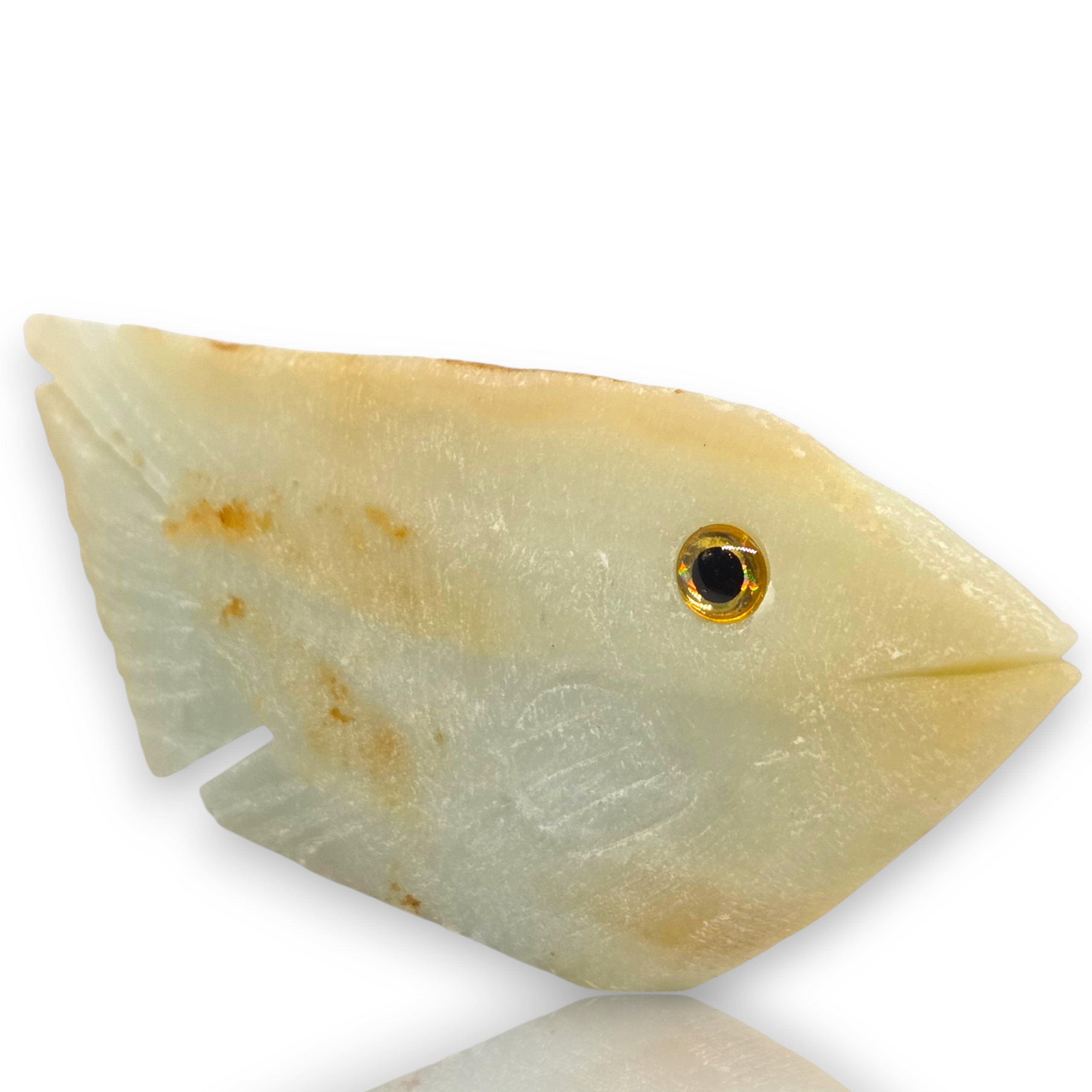 Curio Cabinet Amazonite Gemstone Fish Stone Collectible