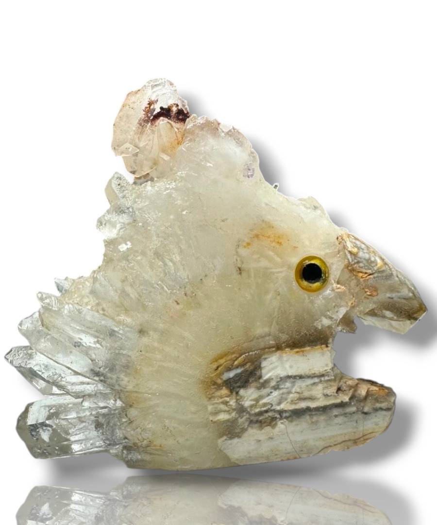 Curio Cabinet Life Like Crystal Cluster Point Fish Collectible