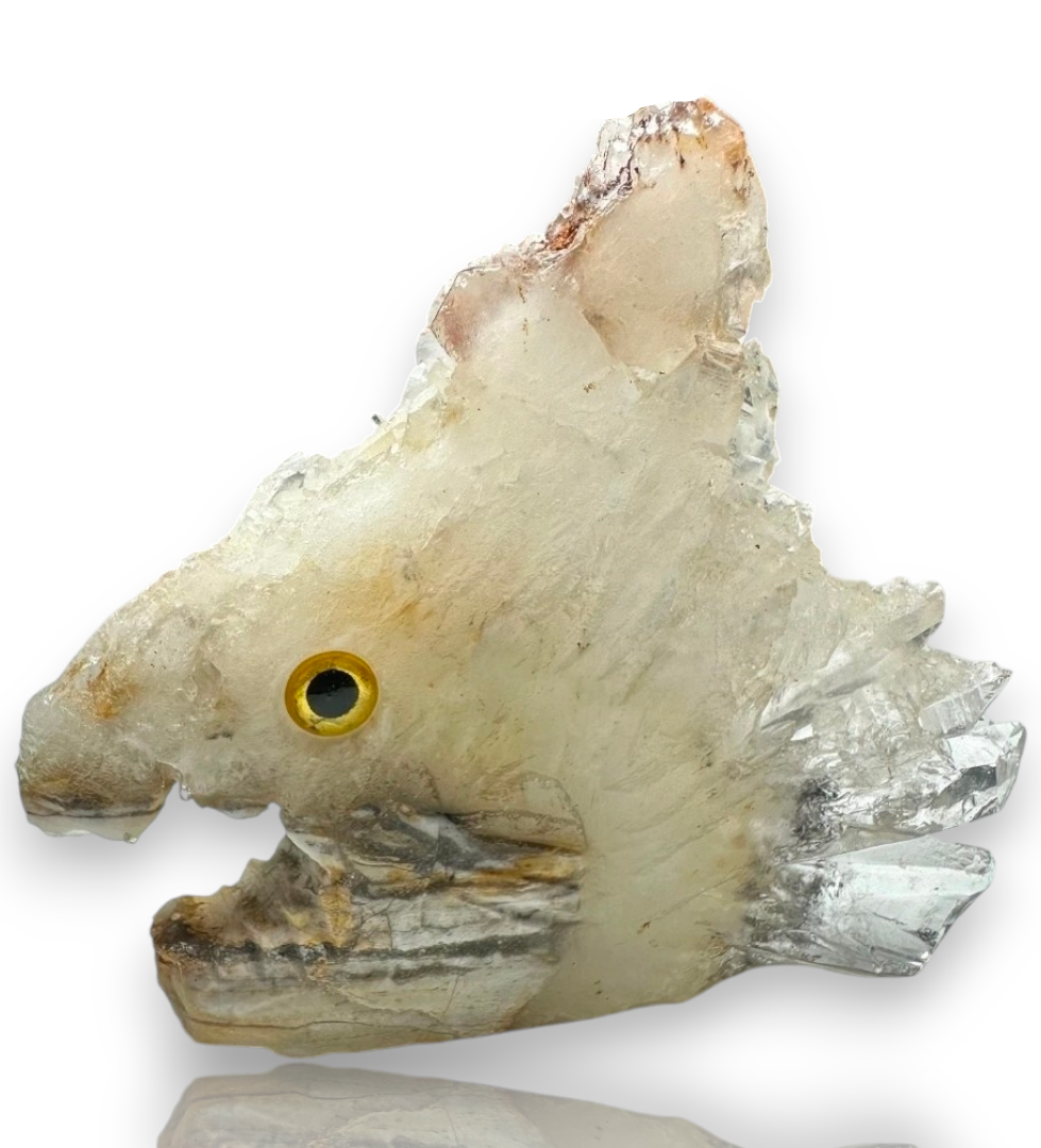 Curio Cabinet Life Like Crystal Cluster Point Fish Collectible