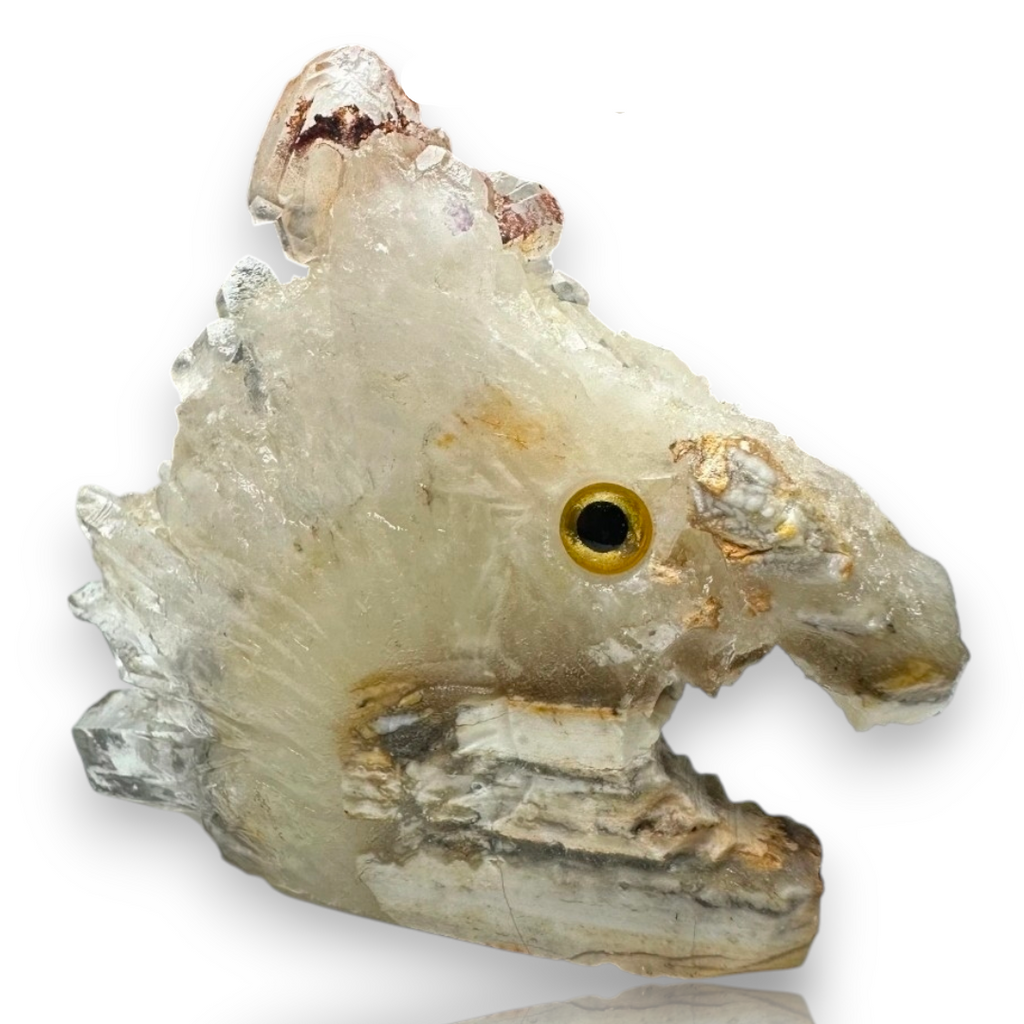 Curio Cabinet Life Like Crystal Cluster Point Fish Collectible