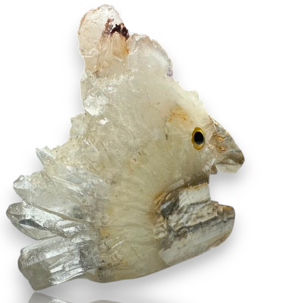 Curio Cabinet Life Like Crystal Cluster Point Fish Collectible