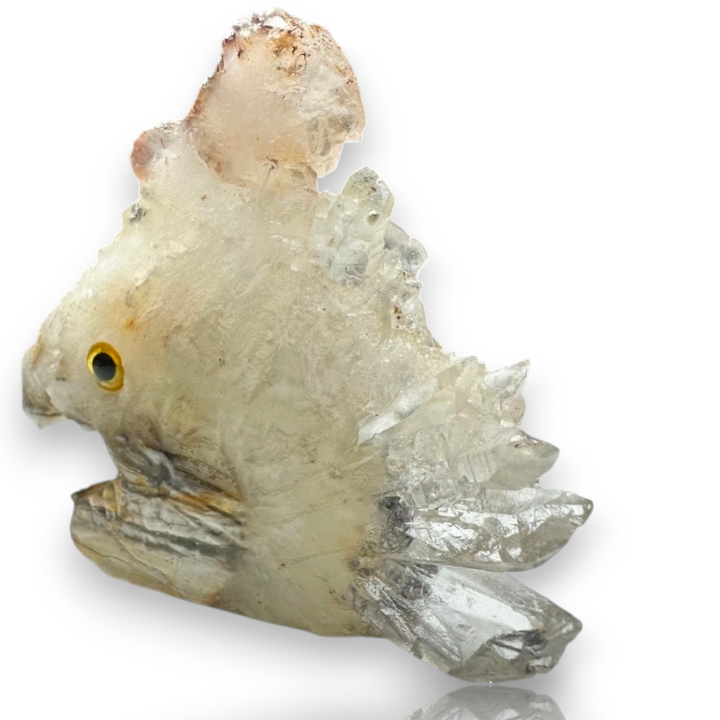 Curio Cabinet Life Like Crystal Cluster Point Fish Collectible
