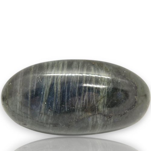 A polished oval labradorite stone with a dark gray and blue iridescent sheen, displayed on a white background 