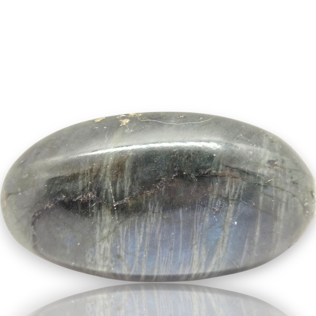 A polished oval labradorite stone with a gray base and iridescent blue flashes, displayed on a white background