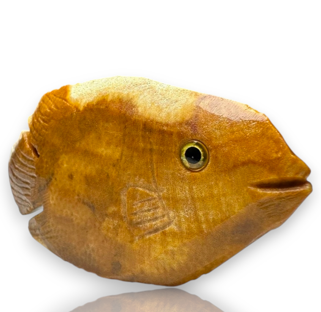 Curio Cabinet Agatized Coral Gemstone Fish Carving Collectible