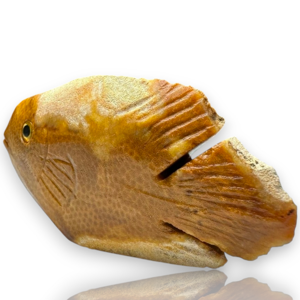 Curio Cabinet Agatized Coral Gemstone Fish Carving Collectible