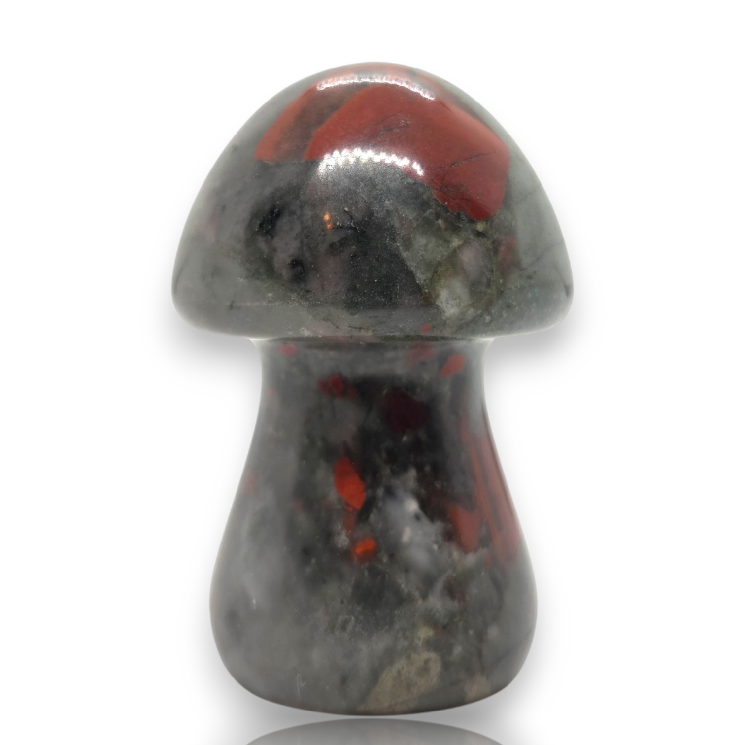 Crystal Chrysalis Haus 