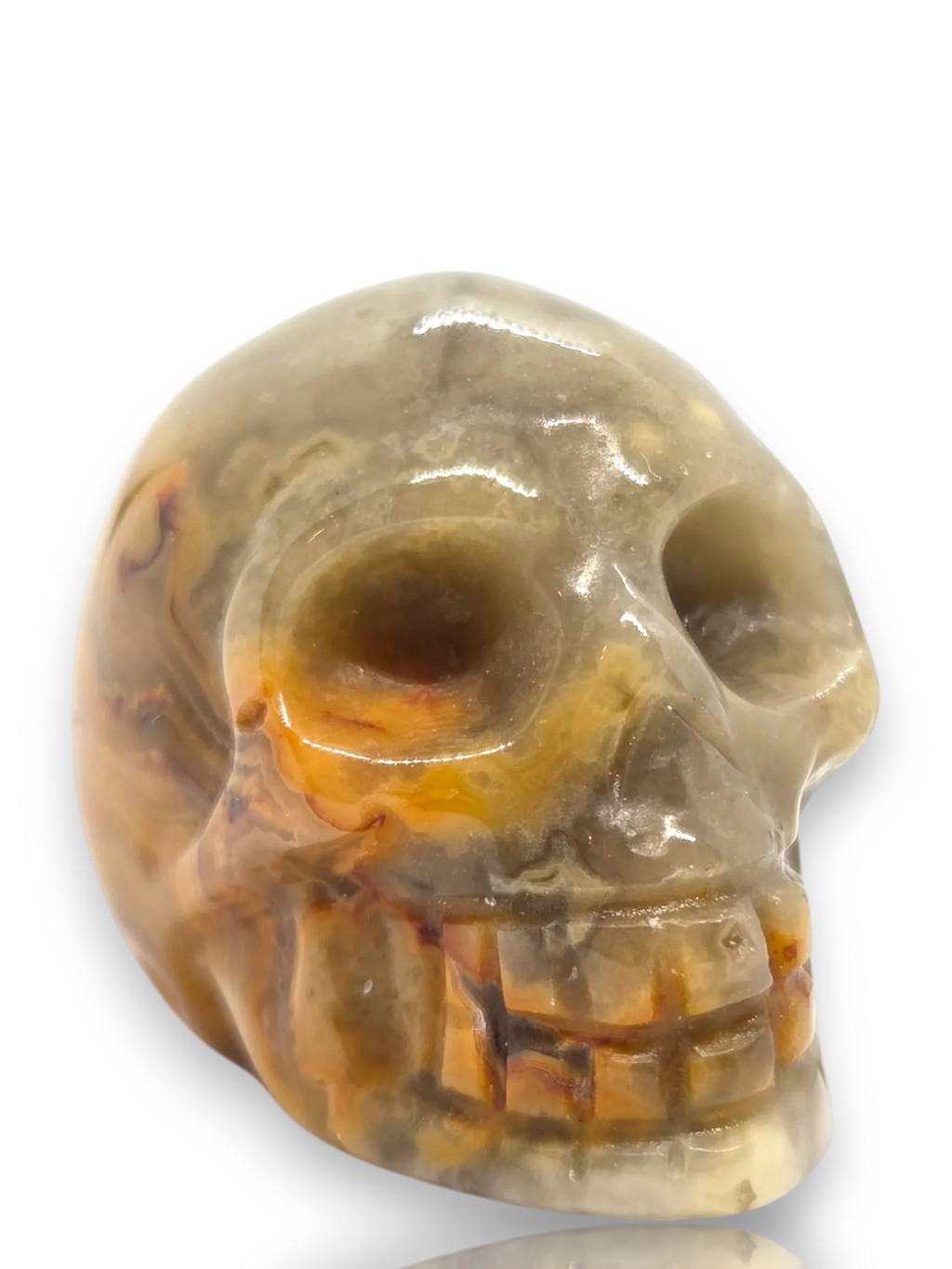 Crystal Chrysalis Haus 