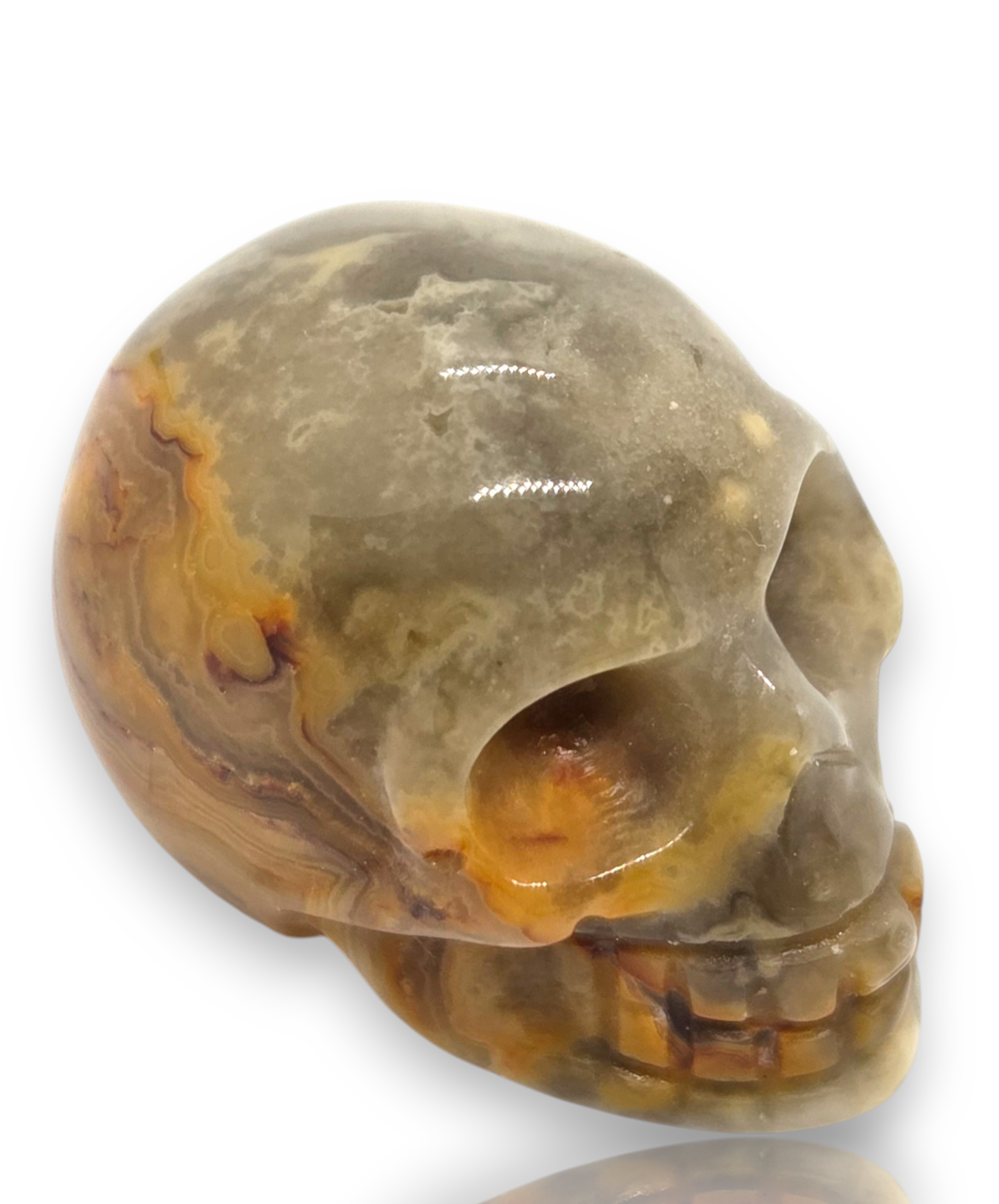 Crystal Chrysalis Haus 