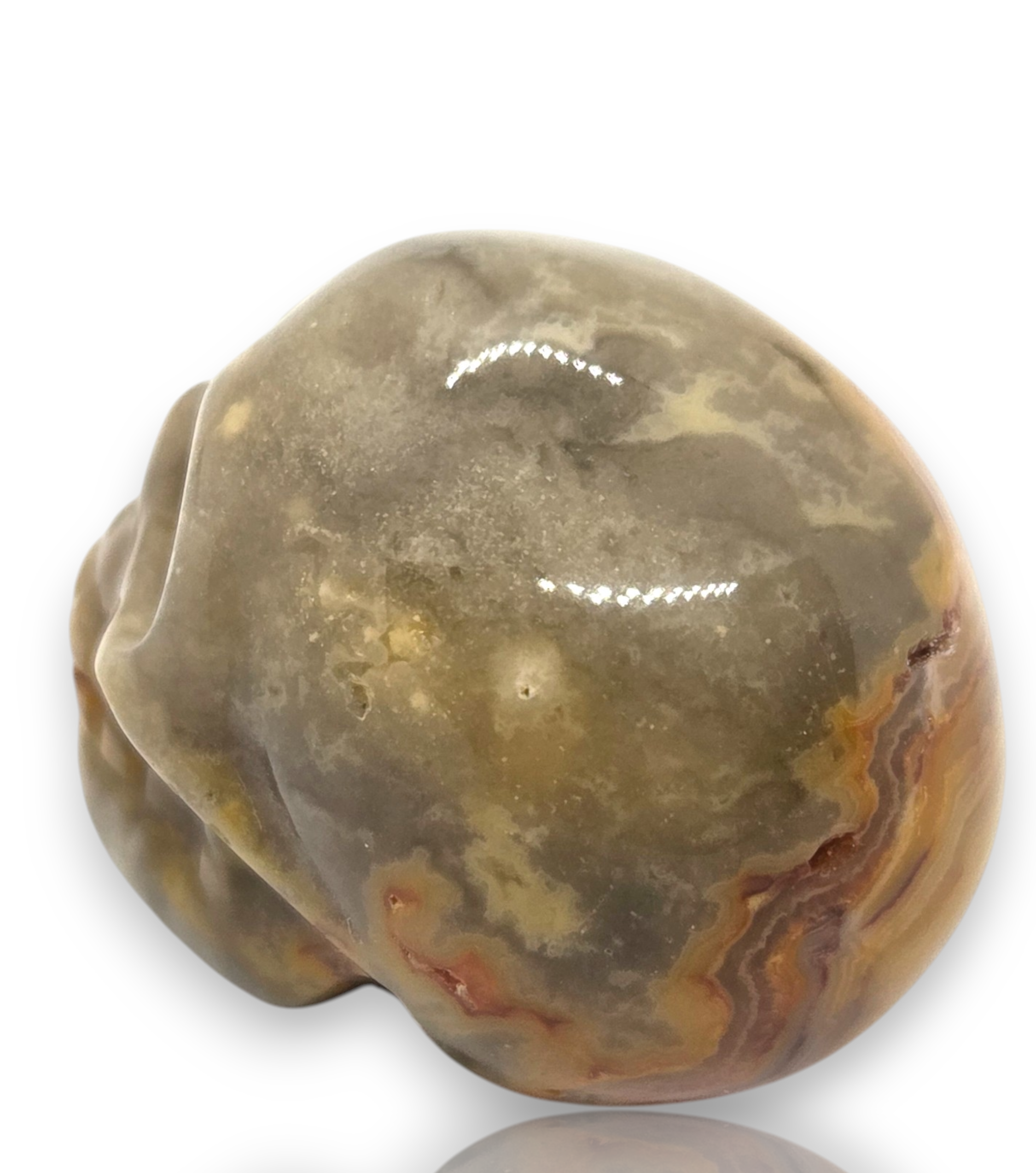Crystal Chrysalis Haus 