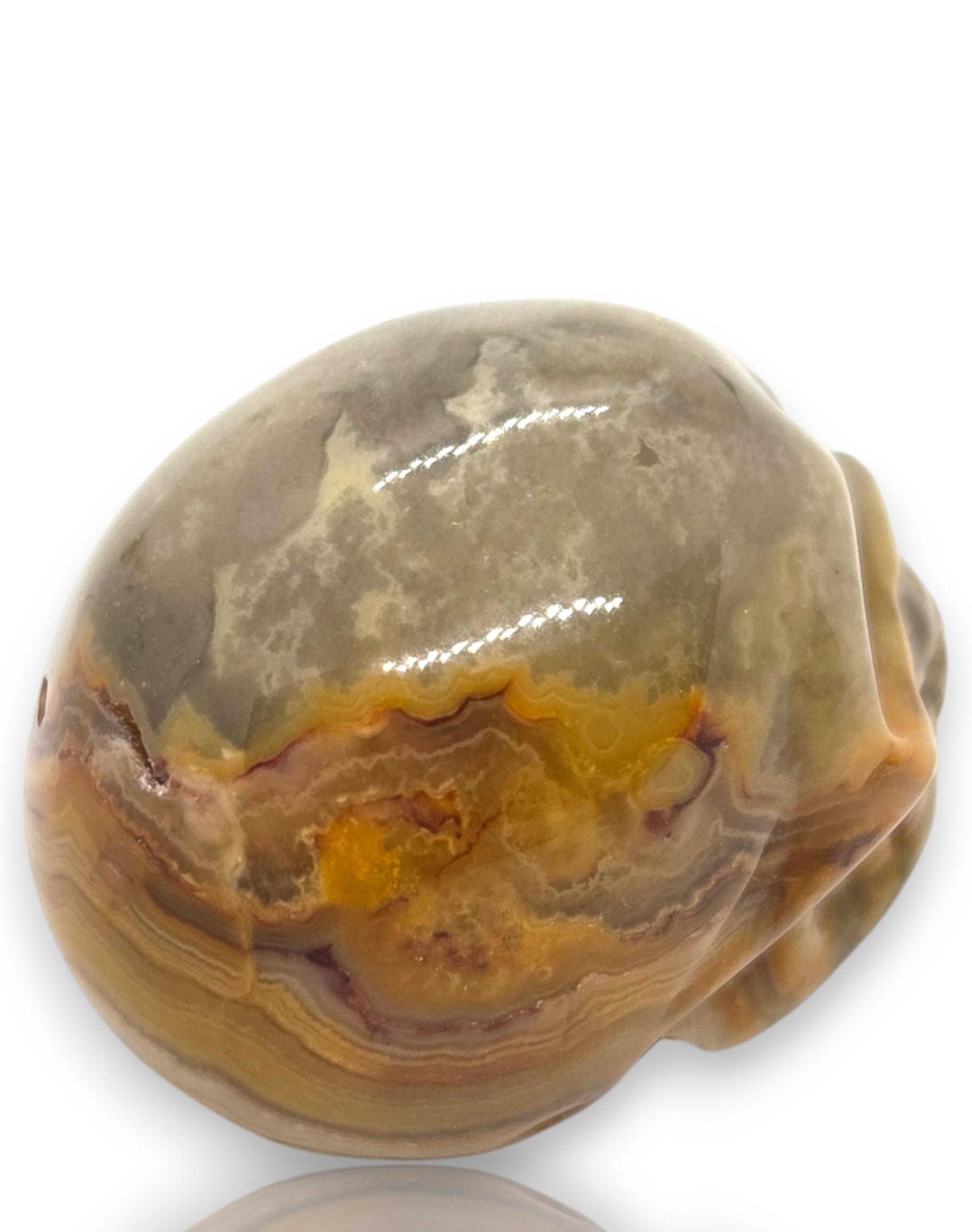 Crystal Chrysalis Haus 