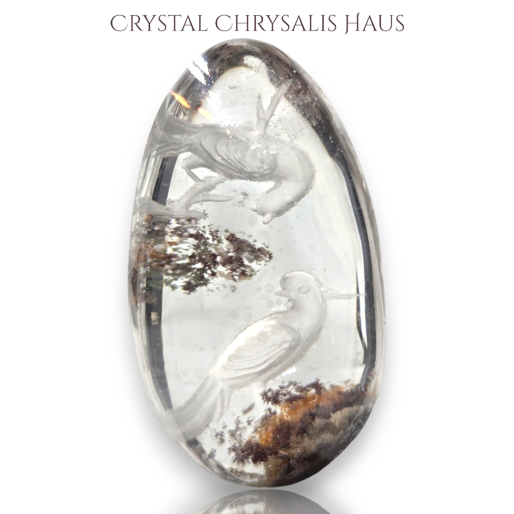 RARE A+ Water Clear Carved Birds Inner Scene Quartz Crystal