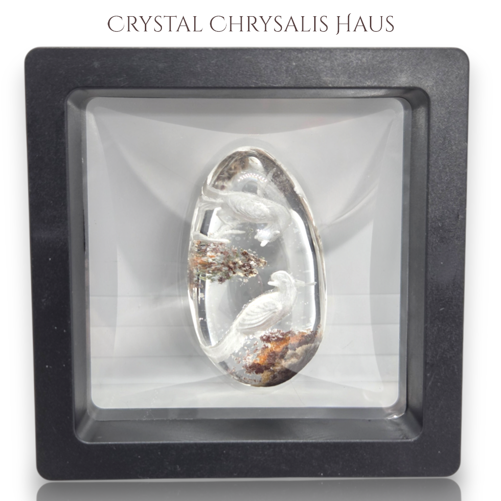 RARE A+ Water Clear Carved Birds Inner Scene Quartz Crystal