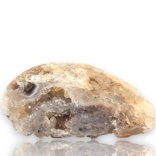 Crystal Chrysalis Haus A raw agate geode specimen with a natural hollow cavity, featuring pale cream, beige, and light brown crystalline formations, displayed on a reflective white surface 