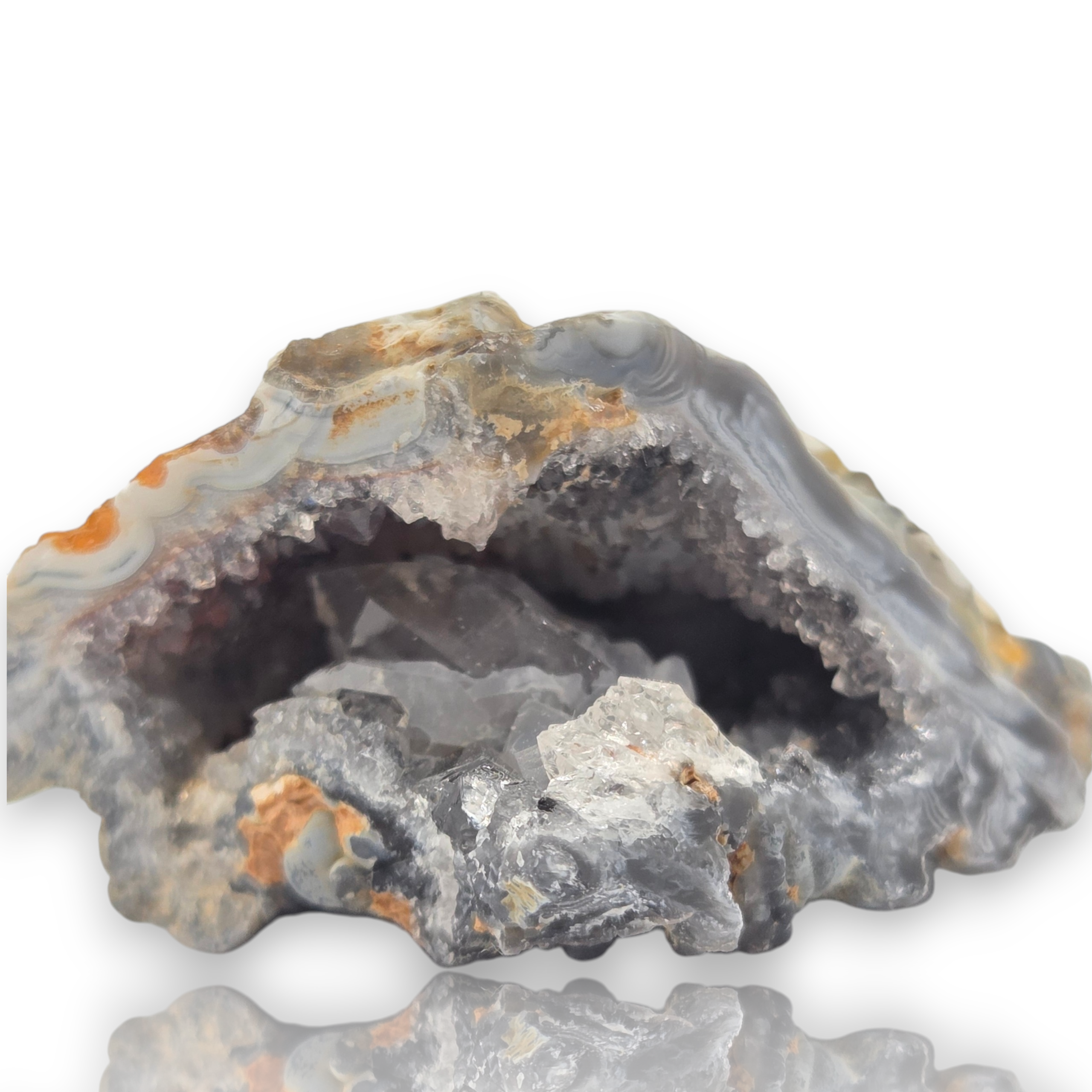 Crystal Chrysalis Haus A natural agate geode specimen with a gray and white banded outer wall and a dark, crystalline interior, displayed on a white reflective surface 