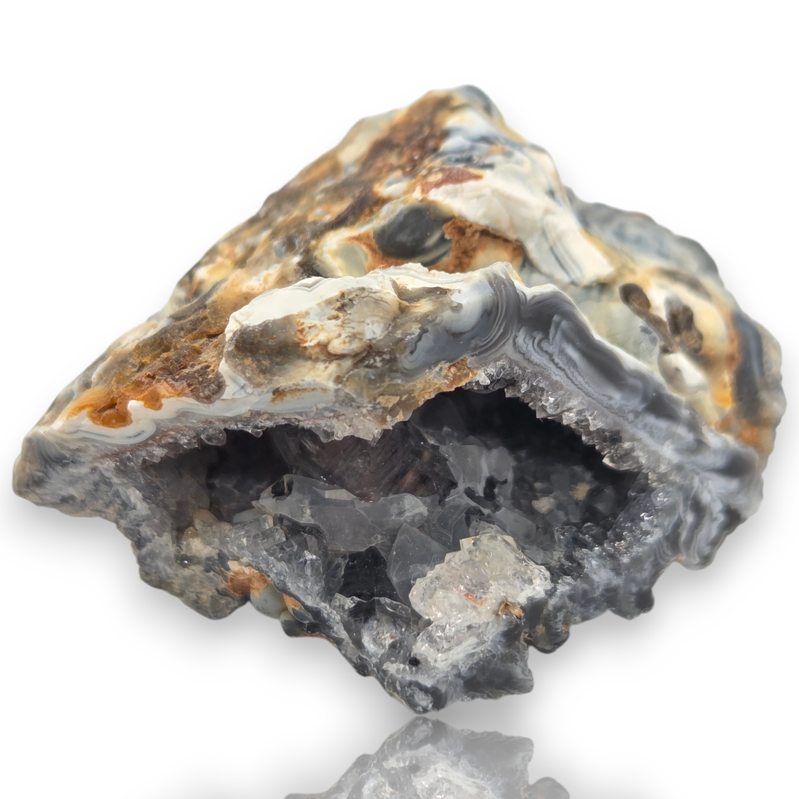Crystal Chrysalis Haus A raw agate crystal geode specimen with a dark gray and black outer matrix, white and gray banded patterns, and a clear quartz crystal cavity inside, shown on a white background 