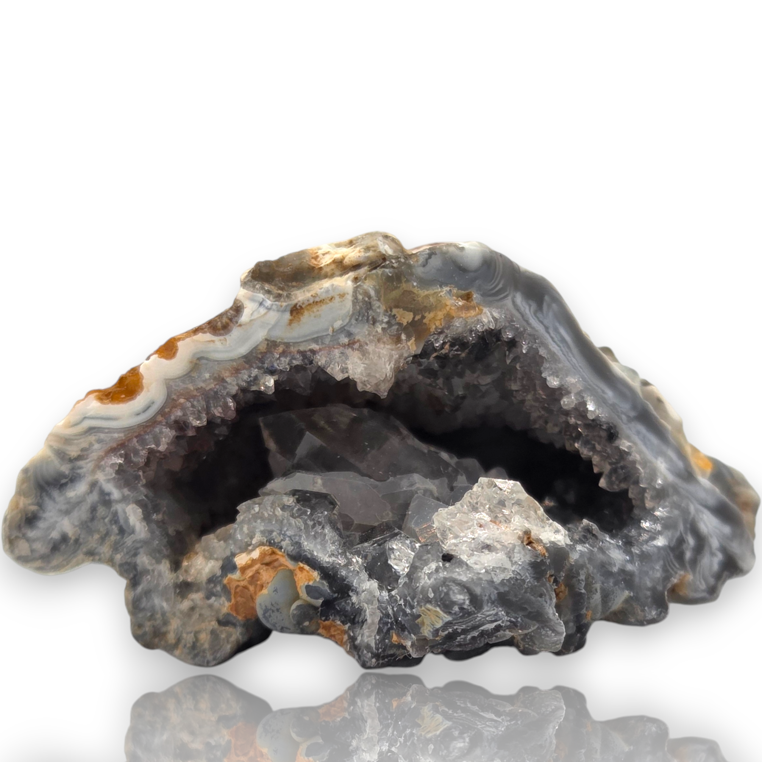 Crystal Chrysalis Haus  A natural geode specimen with a dark gray and black interior and layered outer bands in gray, white, and brown, shown on a white background 