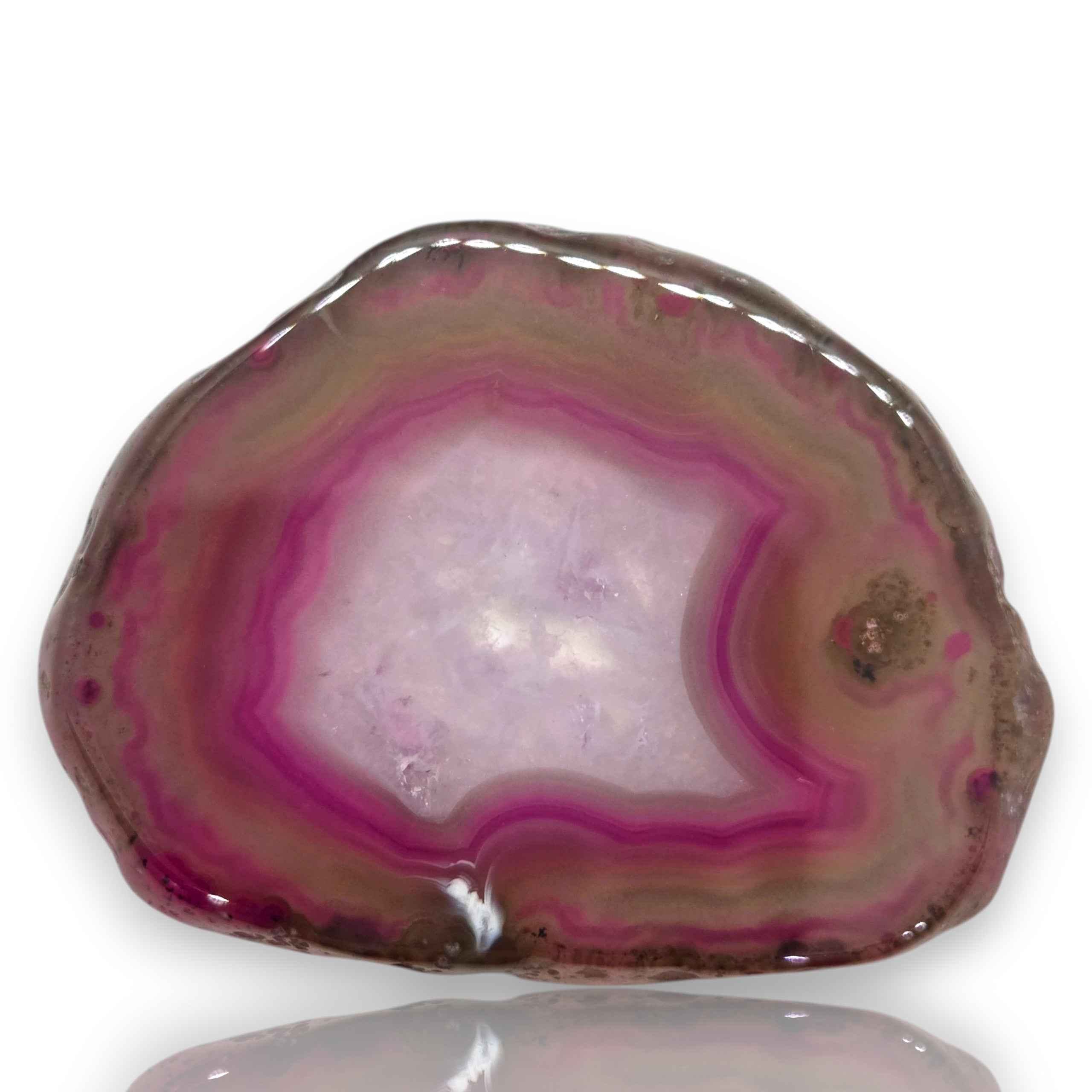 Crystal Chrysalis Haus A polished slice of agate stone with concentric bands of pink, magenta, purple, and brown, displayed on a clean white background with a soft reflection below.