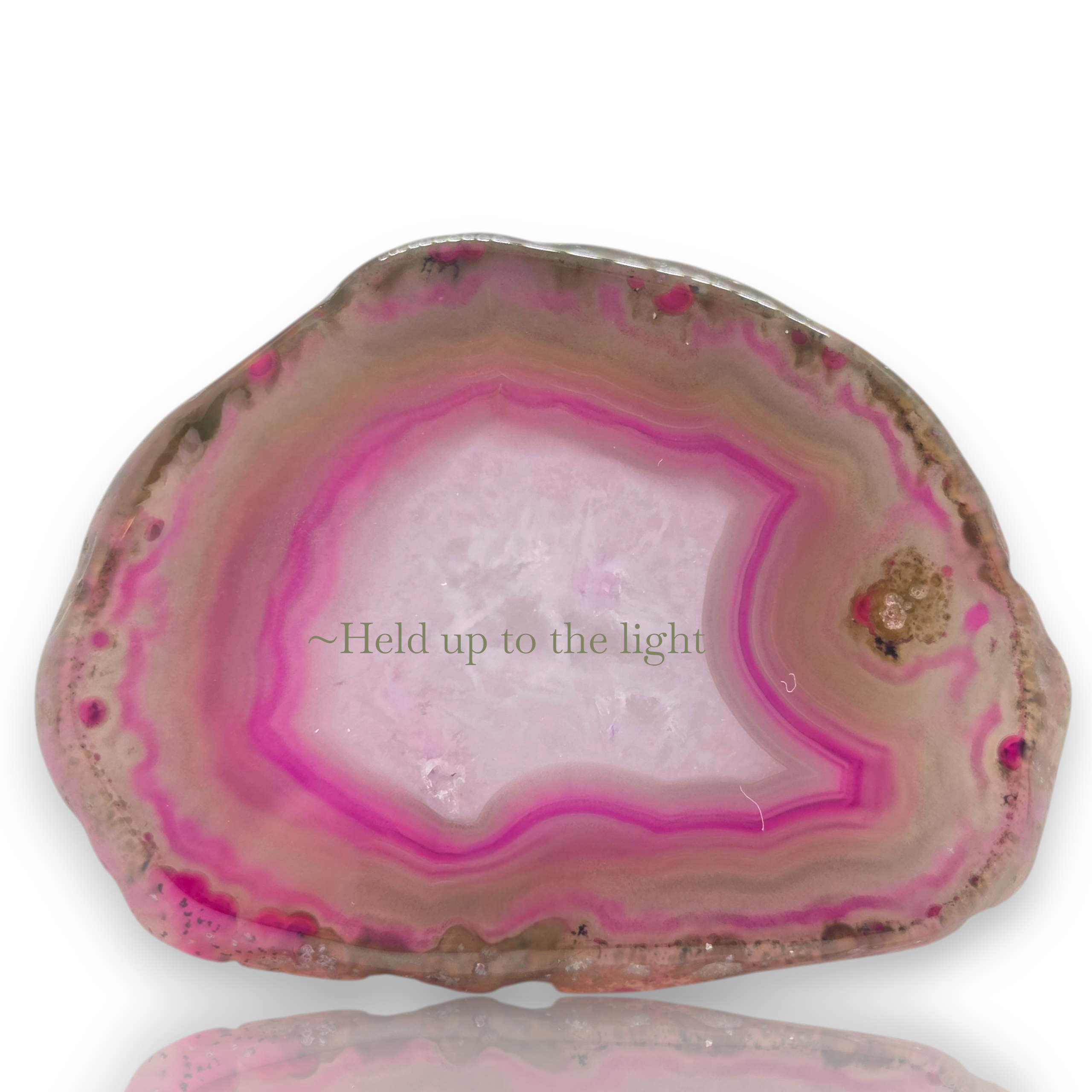 Crystal Chrysalis Haus A polished slice of pink agate or jasper stone with concentric bands of magenta, pink, and translucent white, shown on a white background with a faint reflection below. The text '~Held up to the light' is printed across the center.