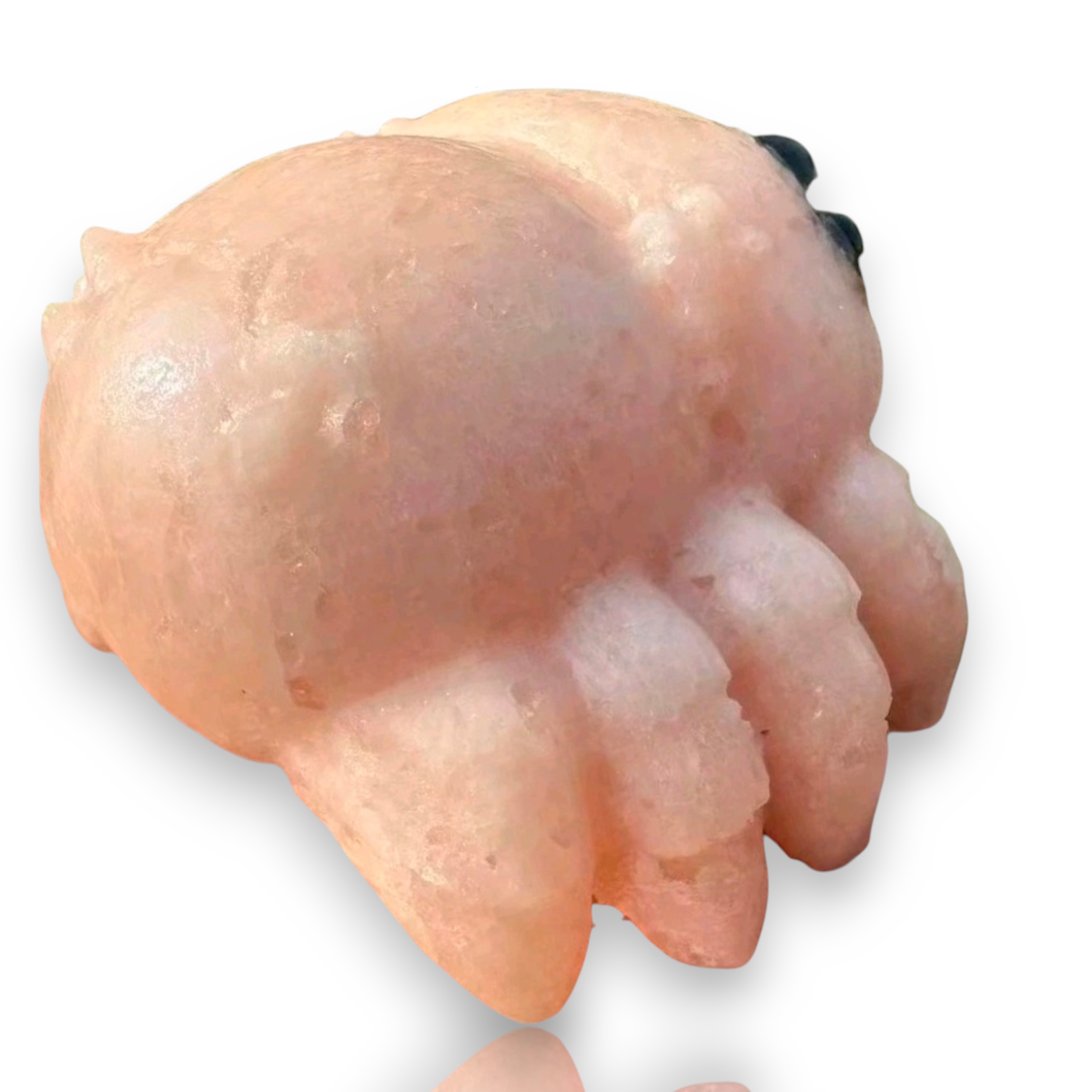 A carved pink stone sculpture shaped like a cat's rear and paws, shown on a plain white background 
