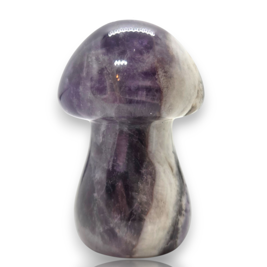 Crystal Chrysalis Haus 