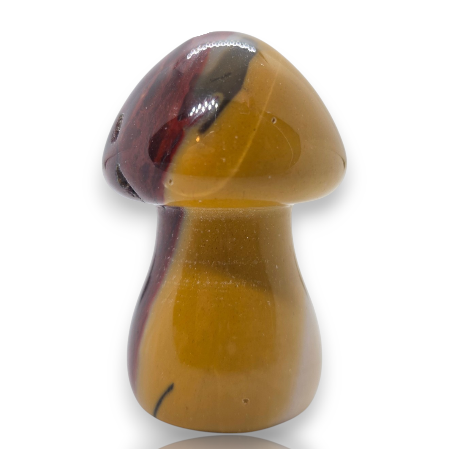 Crystal Chrysalis Haus 