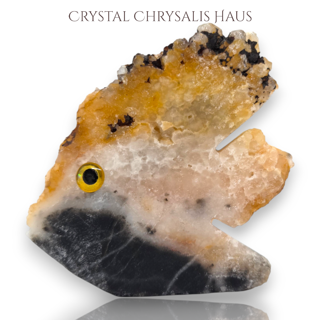 Natural Crystal Agate Carved Life Like Fish Stone Collectible