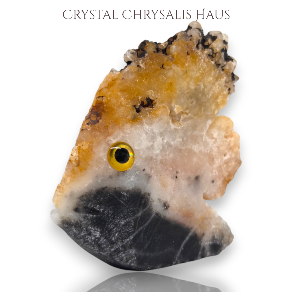 Natural Crystal Agate Carved Life Like Fish Stone Collectible