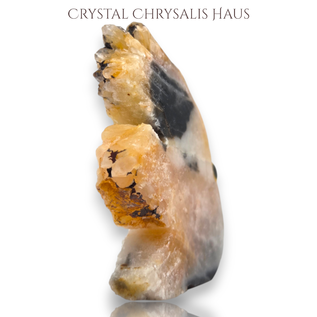 Natural Crystal Agate Carved Life Like Fish Stone Collectible