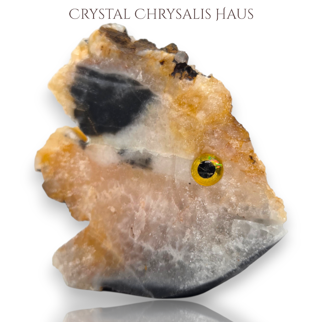 Natural Crystal Agate Carved Life Like Fish Stone Collectible