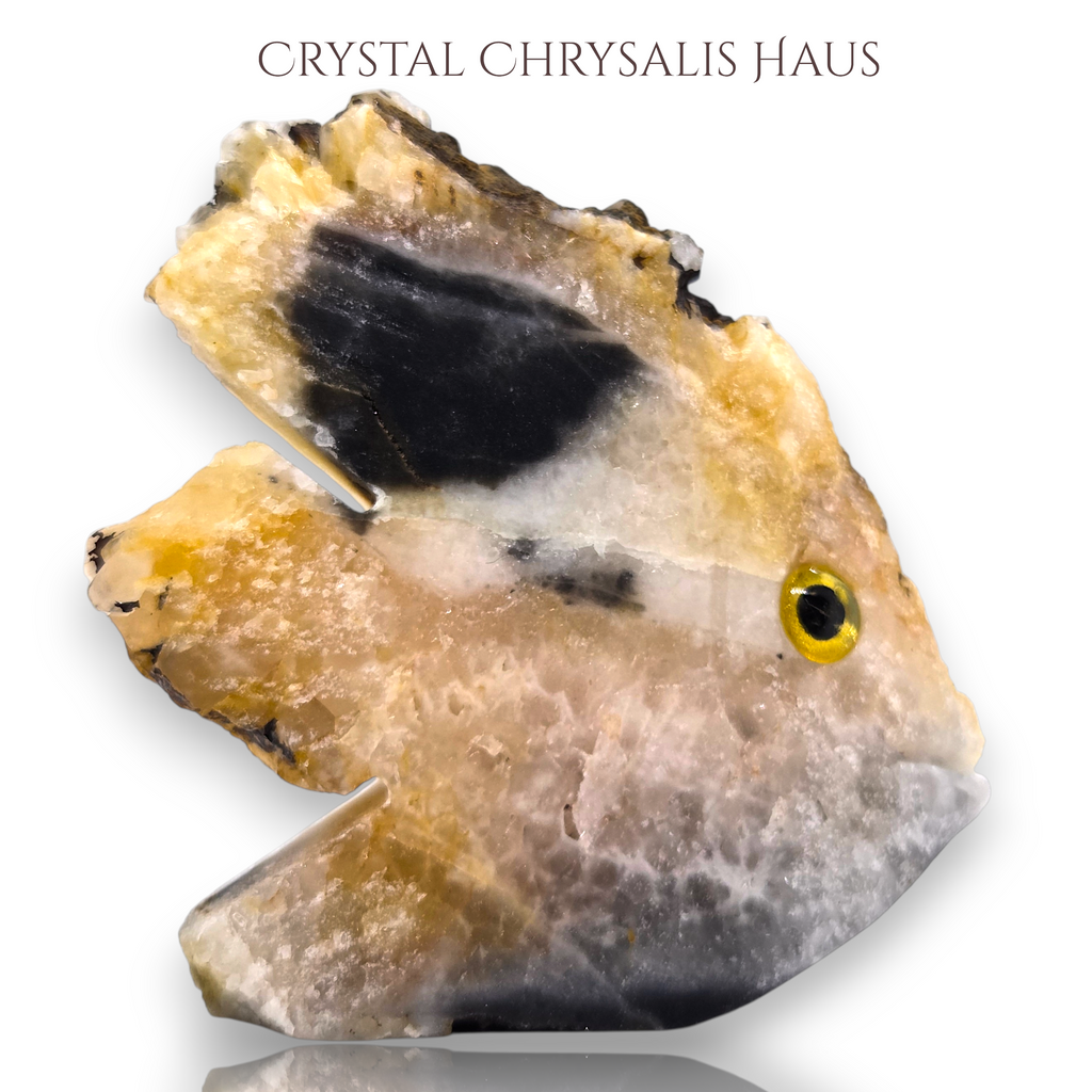 Natural Crystal Agate Carved Life Like Fish Stone Collectible