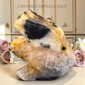 Natural Crystal Agate Carved Life Like Fish Stone Collectible