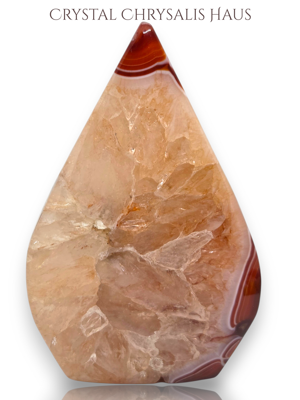 A teardrop-shaped crystal chrysanthus gemstone with natural banding in shades of peach, beige, and reddish-brown, displayed on a clean white background with the text 'CRYSTAL CHRYSALIS HAUS' at the top.