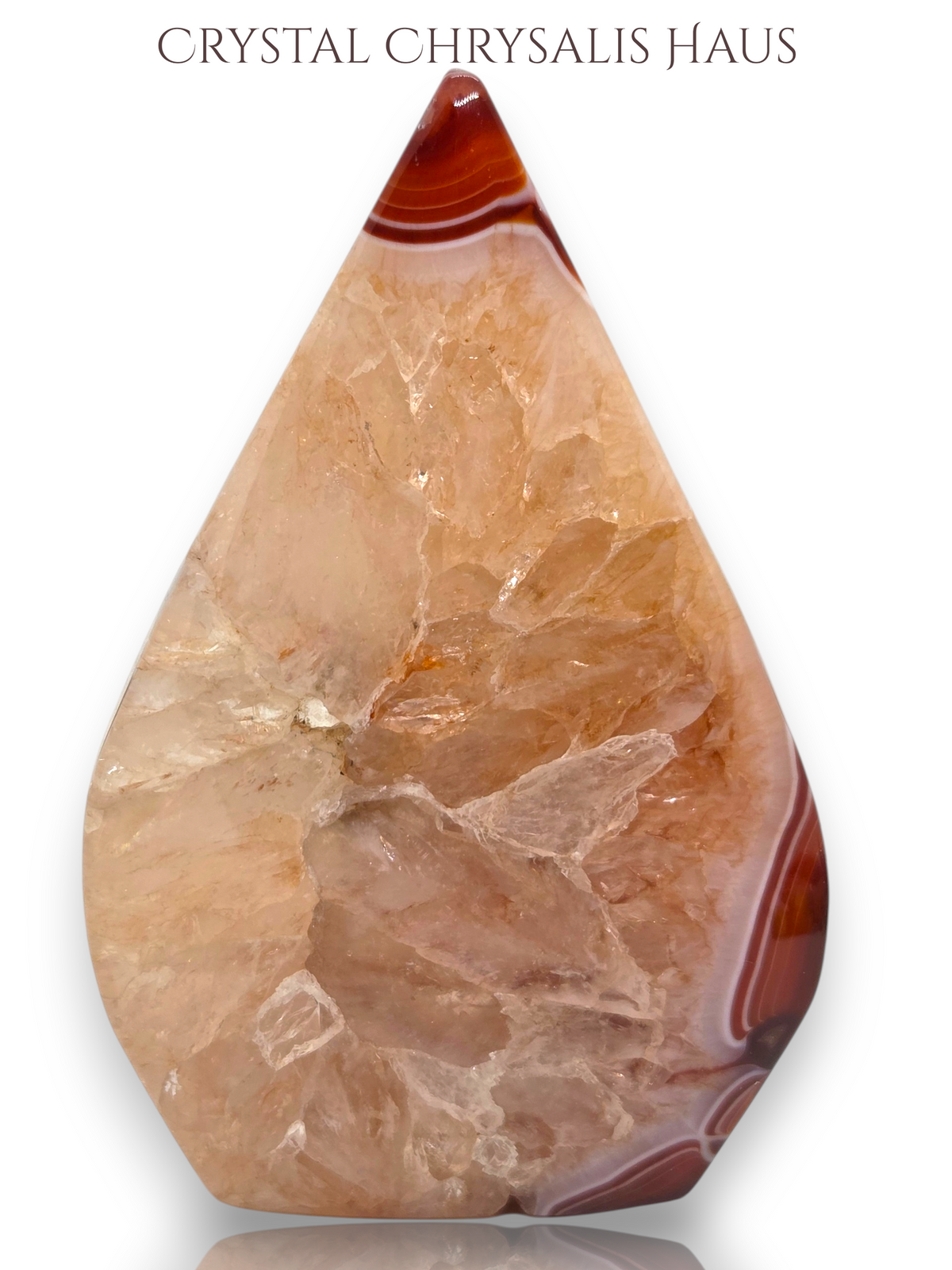 A teardrop-shaped crystal chrysanthus gemstone with natural banding in shades of peach, beige, and reddish-brown, displayed on a clean white background with the text 'CRYSTAL CHRYSALIS HAUS' at the top.