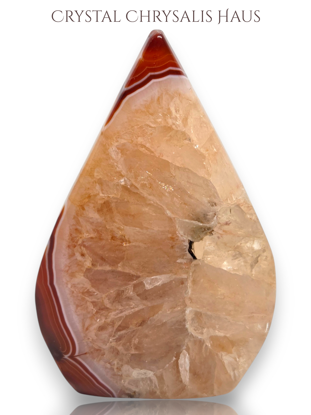 A polished teardrop-shaped crystal chrysalice stone with natural banding, featuring a warm peachy-orange center and reddish-brown outer edges, displayed on a clean white background with the text 'CRYSTAL CHRYSALIS HAUS' at the top.