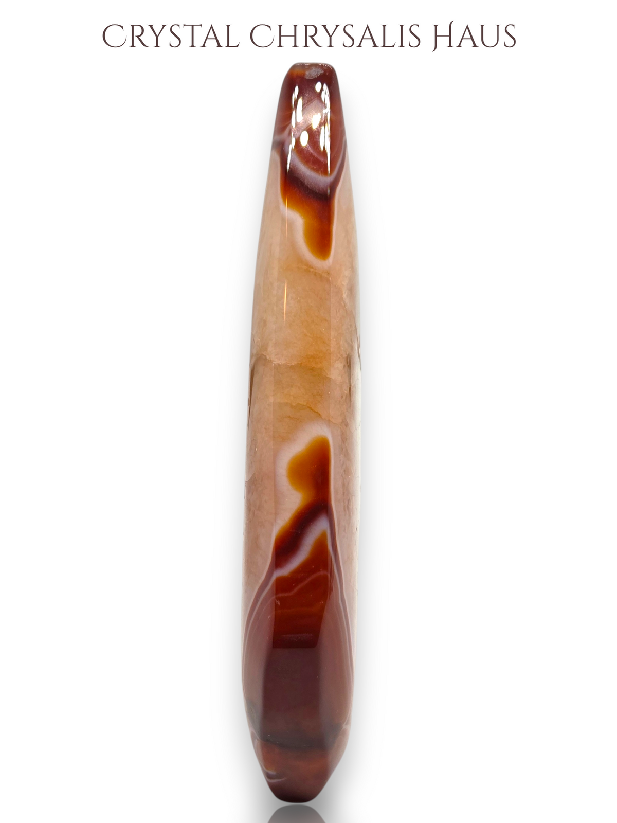A polished crystal chrysalis gemstone with a natural banding pattern of amber-brown and light tan, displayed vertically on a white background with 'CRYSTAL CHRYSALIS HAUS' text at the top.
