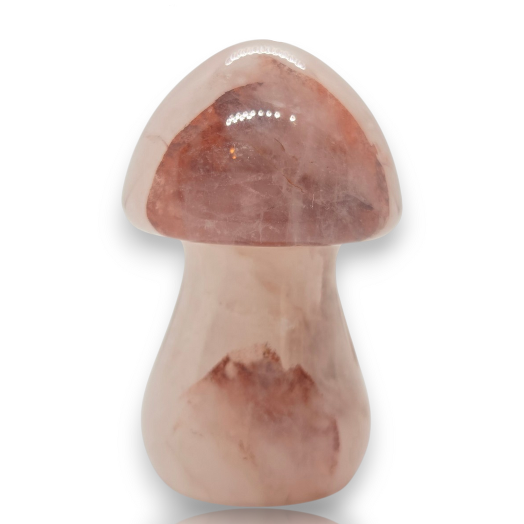 Crystal Chrysalis Haus 