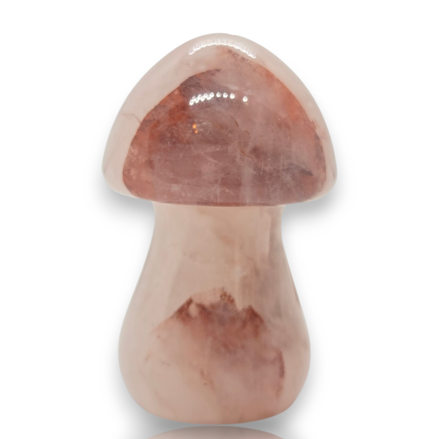 Crystal Chrysalis Haus 