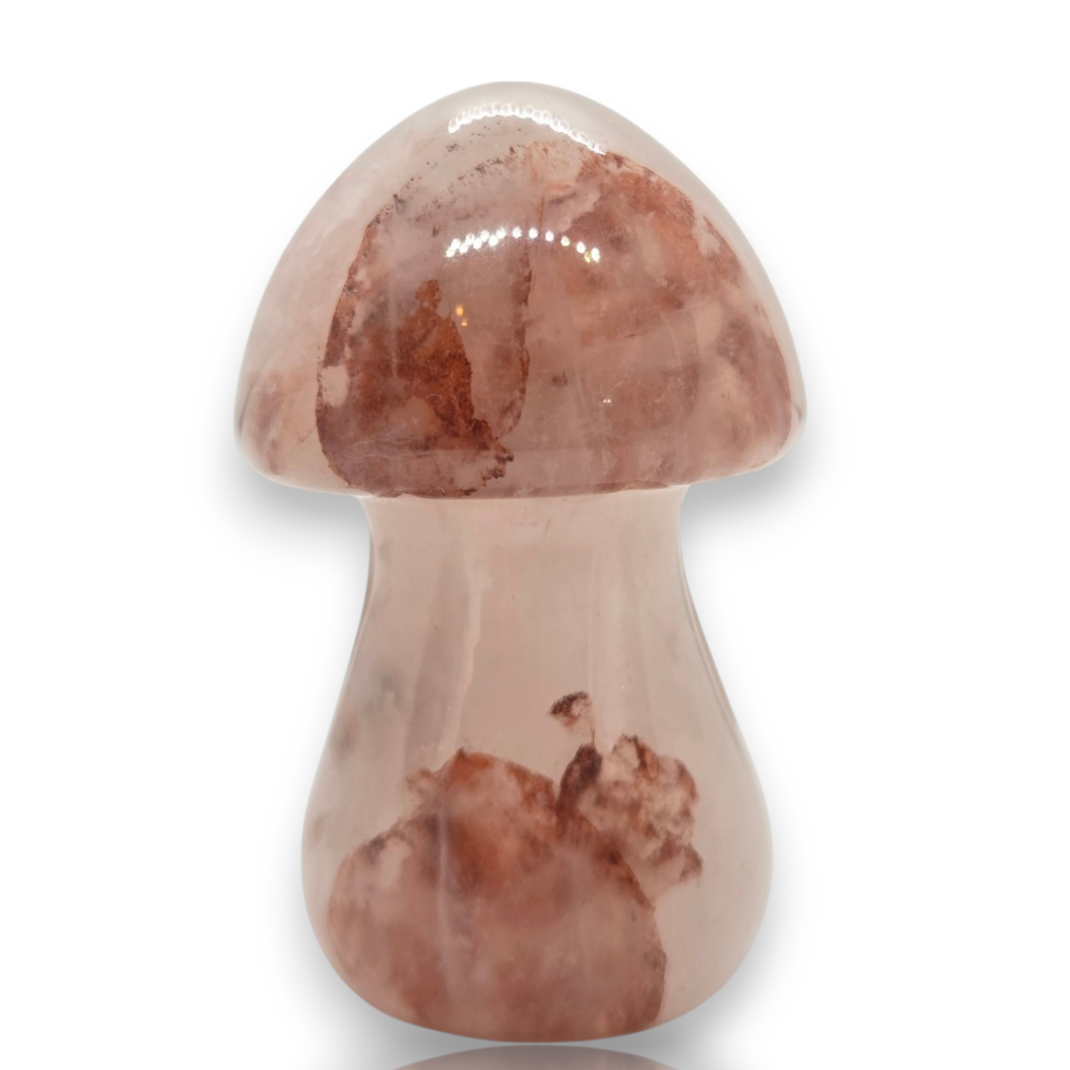 Crystal Chrysalis Haus 