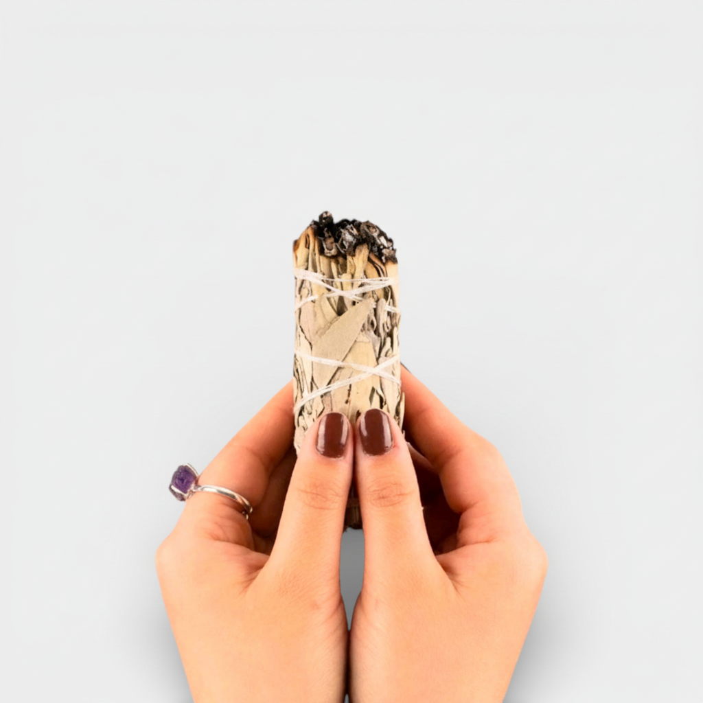 A person's hands holding a bundled sage smudge stick with white string, against a light gray background